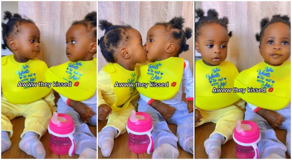 Photos of twin babies sharing a passionate kiss.
