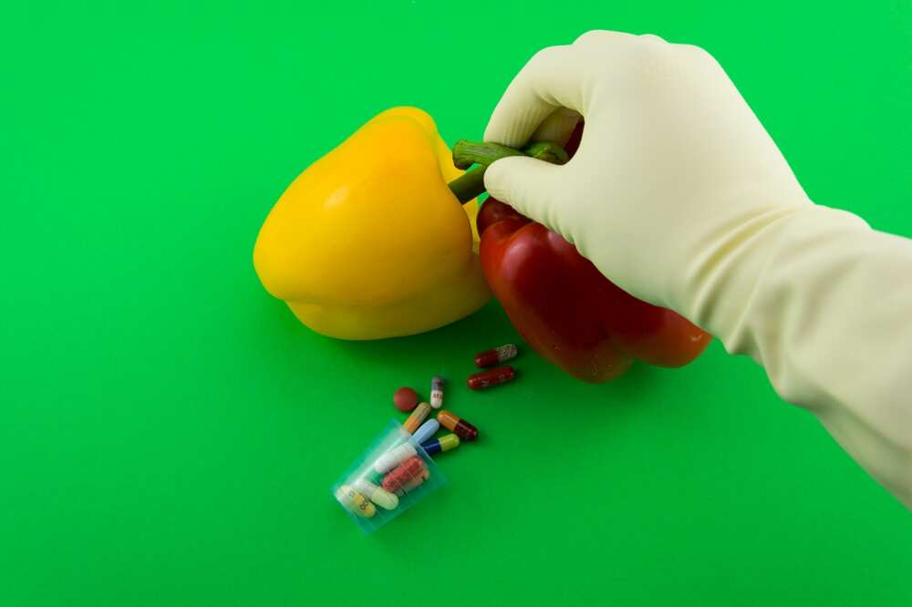 Pros and cons of GMO Pros and cons of GMO