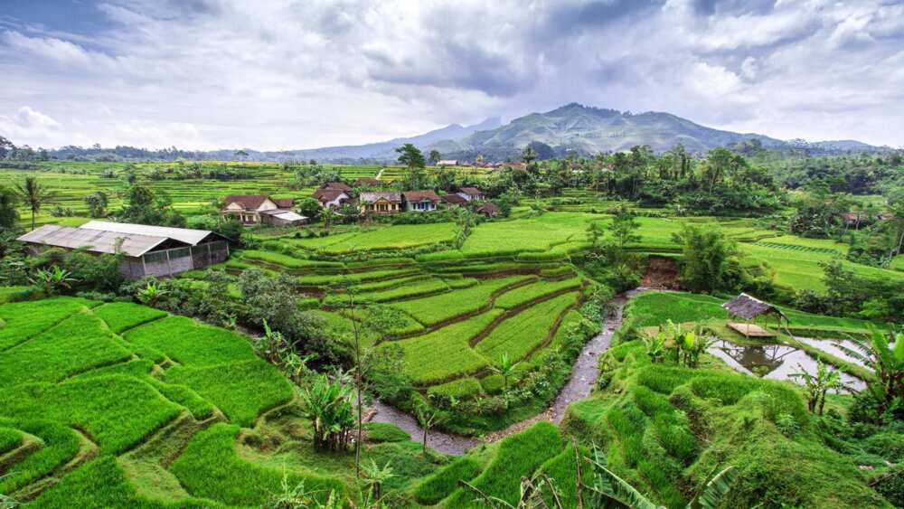 Incredible Indonesia