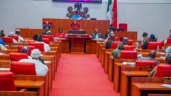 El-Rufai: Tinubu Ya Shirya Magance Matsalar Wutar Lantarki a Cikin Shekara 7