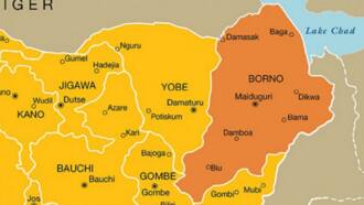 Borno: Mayakan Boko Haram Sun Kai Hari Chibok, Sun Sheke Rai 3
