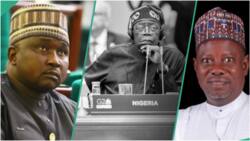Tinubu presents empty budget box to lawmakers? Rep finally opens up