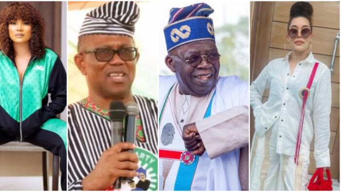 Election 2023: Iyabo Ojo, Adunni Ade, 7 other celebs who got into ugly fights over Tinubu and Peter Obi