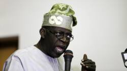 Ahead of 2023 presidential election, Tinubu makes another big promise to Nigerians