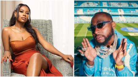 “The longer you stay silent protecting him, the slower you heal”: Sophia Momodu continues to drag Davido