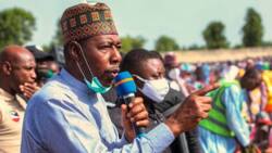 Ni Mutum Ne Mai Saurin Fushi, In Ji Gwamna Babagana Zulum