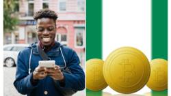 New study shows majority of crypto owners in Africa are Nigerians