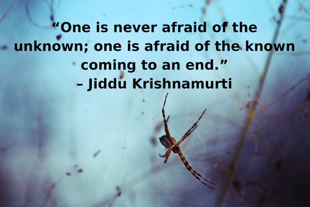 Quotes on fear