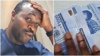 “I no wan hear Tinubu supporters complain”: Femi Adebayo recounts how hard it was for him to get naira notes