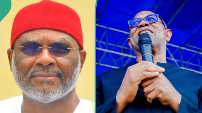 Senator Nnamani's supporter reveals what will happen if Peter Obi addresses himself as Nigeria's President