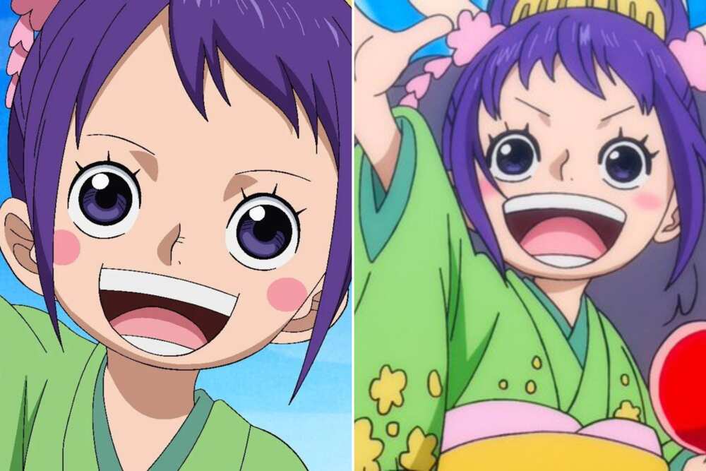 one piece female characters one piece female characters