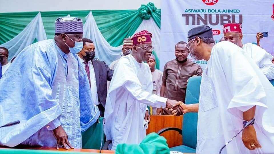 2023: Bola Tinubu projected to win APC presidential ticket