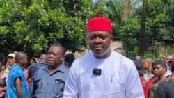Anambra Decides: PDP's governorship candidate Ozigbo sends strong message to INEC after voting, makes important request