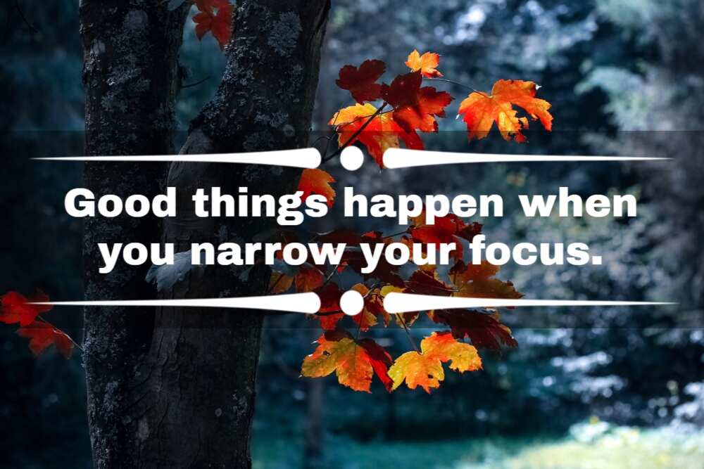 Quotes about focusing on yourself Quotes about focusing on yourself