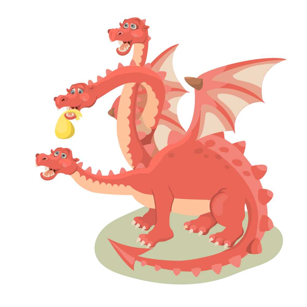 Different types of dragons from mythology and popular culture