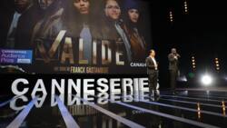 Validé: casting, intrigues, saisons – tout savoir sur la série