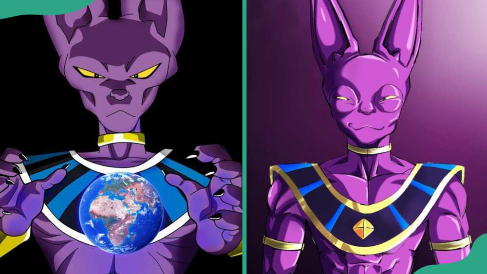 Beerus from Dragon Ball Super