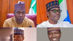 Kai Tsaye: Yadda Zaben Gwamna Ke Gudana a Jihohin Borno, Kebbi, Zamfara da Yobe