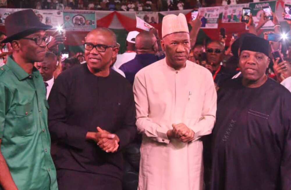 Peter Obi-Baba-Ahmed/Labour Party/Campaign Council List/Doyin Okupe/2023 Elections