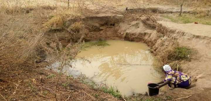Adamawa Community Where Indigenes Drink Same Water With Their Animals