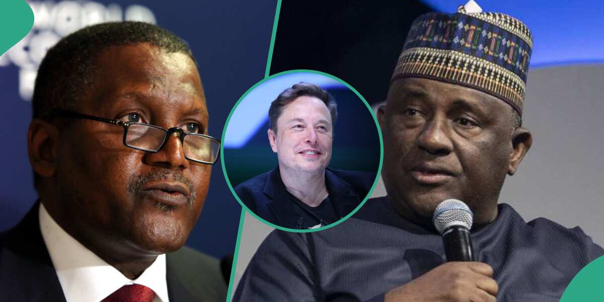 Revealed: See how Elon Musk made total net worth of 2 of Nigeria’s richest men in 6 hours