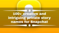 100+ creative and intriguing private story names for Snapchat