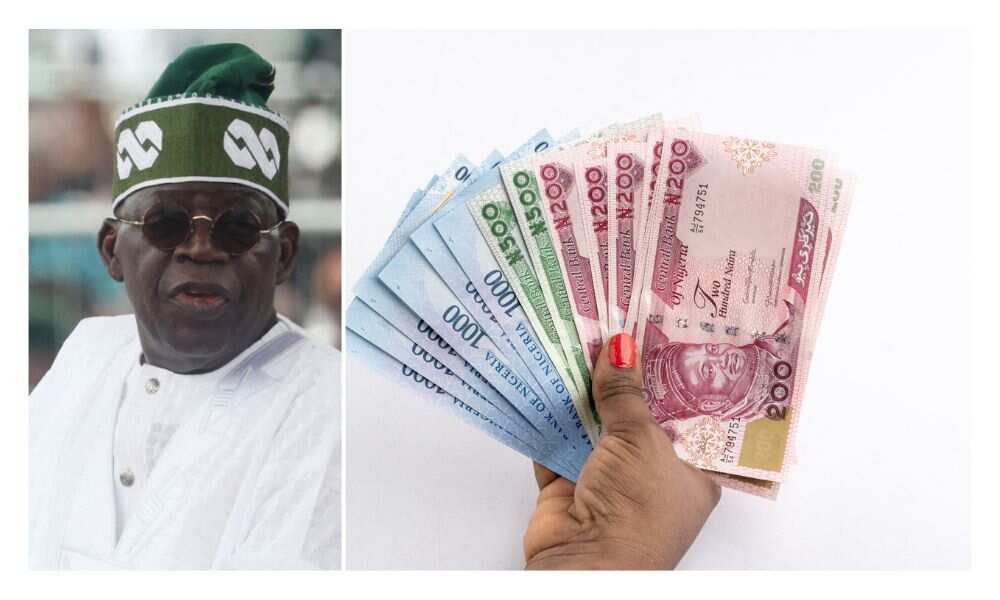 Bank Of America Speaks On Naira Devaluation As Tinubu Reveals Why He ...