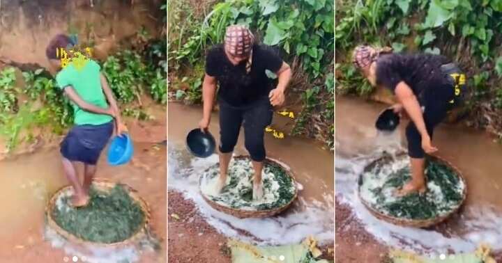 Market women washing bitter leaves with their feet