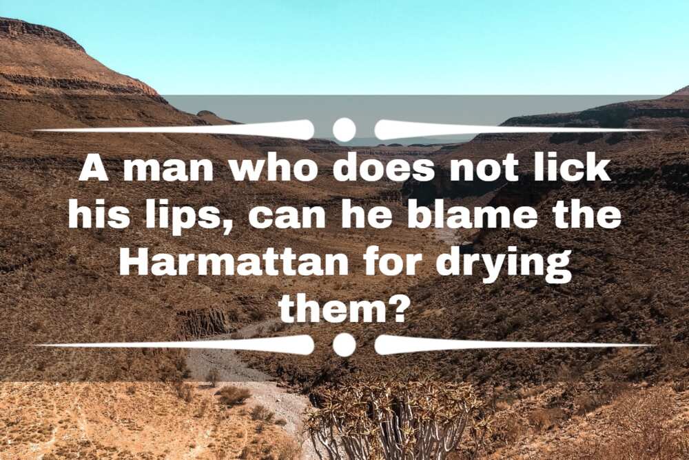 Harmattan season quote