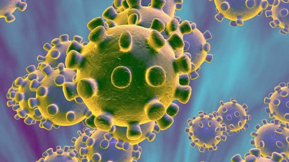 Coronavirus: An fasa yin shagalin bikin maulidi a jihar Sokoto