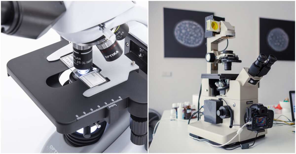 care-and-uses-of-microscope-legit-ng