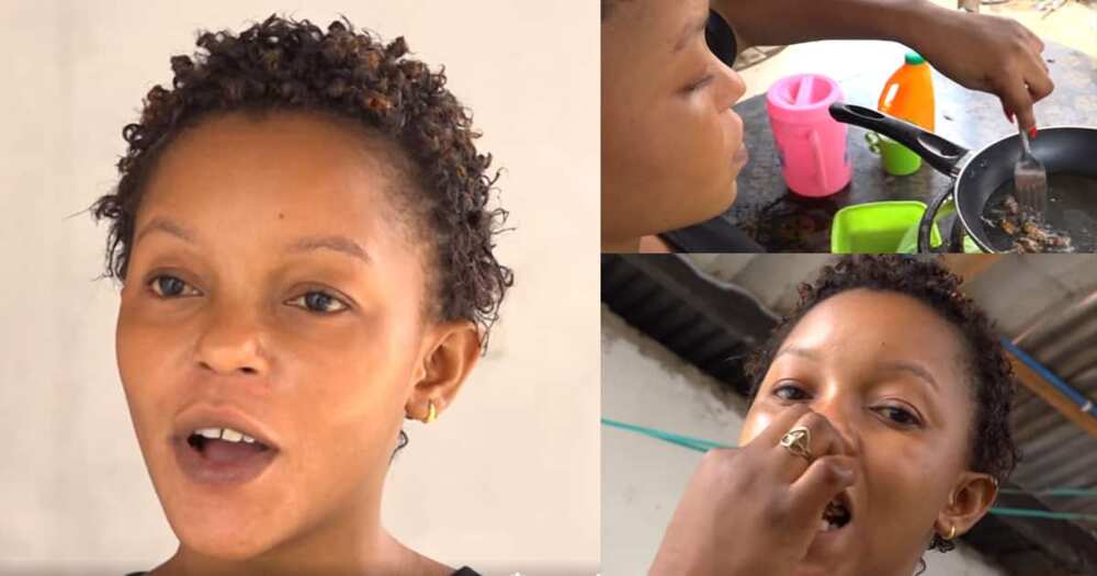 Woman goes viral for keeping cockroaches as food, says it tastes like fish Woman goes viral for keeping cockroaches as food, says it tastes like fish