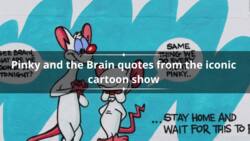 33 Pinky and the Brain quotes from the iconic cartoon show