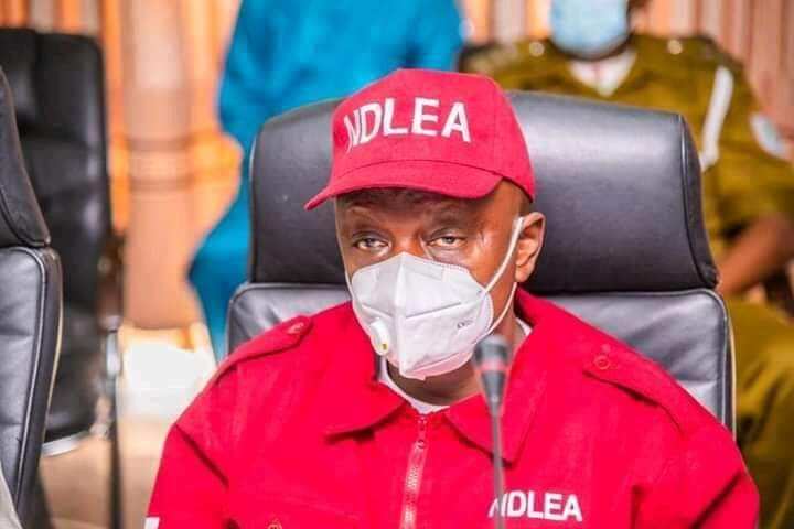 NDLEA to Politicians, Students: No Going Back On Drug Test