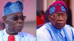 "Laifin ka ne": Hadimin Tinubu ya fadi abu 1 da Obasanjo ya yi da ya sa kasar nan a mawuyacin hali