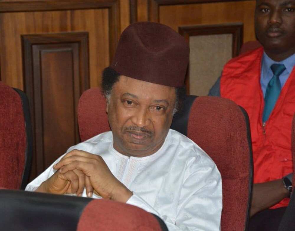 Shehu Sani Shehu Sani