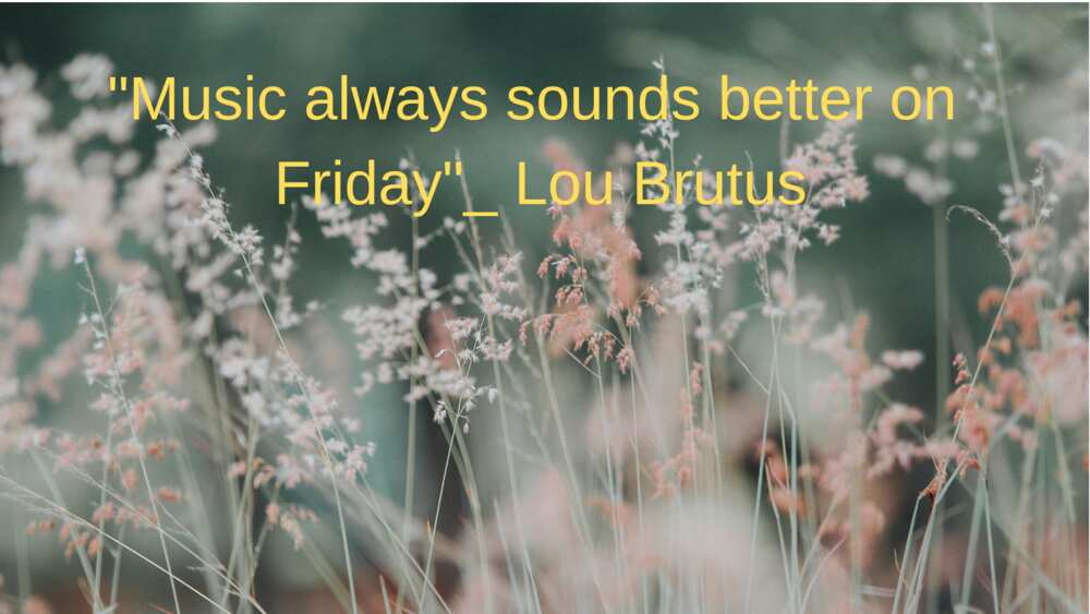 Friday quotes Friday quotes