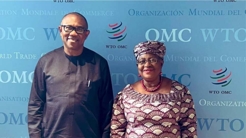 Peter Obi/Okonjo-Iweala/Nigeria's Economic Recovery/2023 Presidential Election