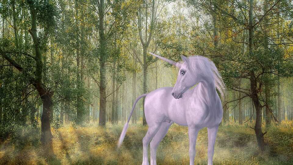 male unicorn names male unicorn names