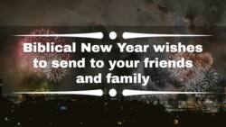 Biblical New Year wishes to send to your friends and family