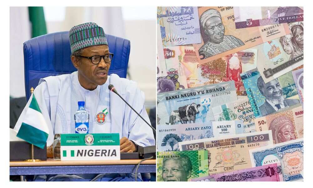 Buhari, New notes, CBN