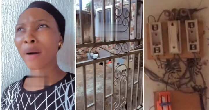 "Is This a Spiritual Attack?" Nigerian Lady Scared as Bird Lays Eggs on