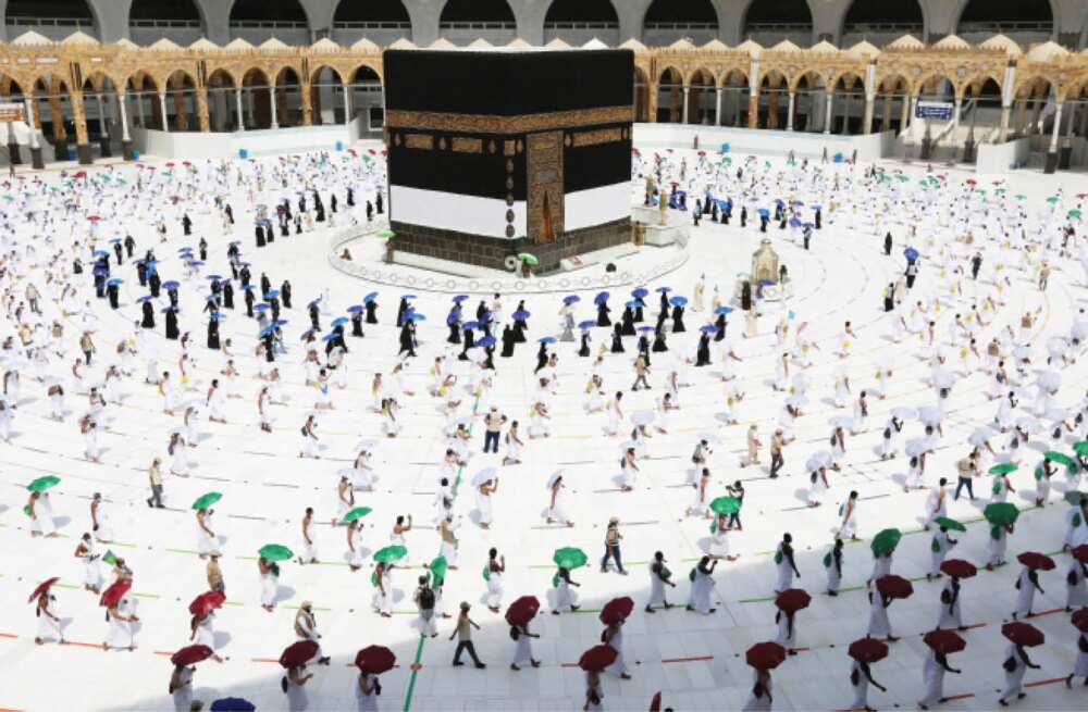 Mako daya da bude Masallacin Harama, mutane 24,000 sun yi ibadar Umarah Mako daya da bude Masallacin Harama, mutane 24,000 sun yi ibadar Umarah