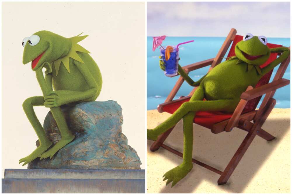 famous frog cartoon characters