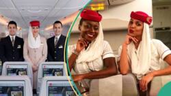 Apply now: Emirates Airlines invites Nigerian graduates ready to join its cabin crew