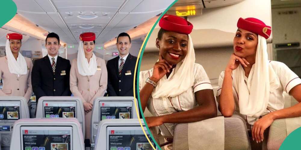 Emirates Airlines Invites Fresh Graduate to Join Its Cabin Crew