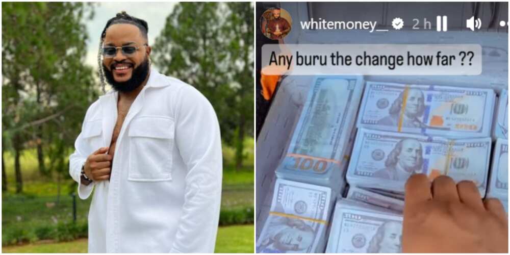 White Money, White Money shows off his dollars