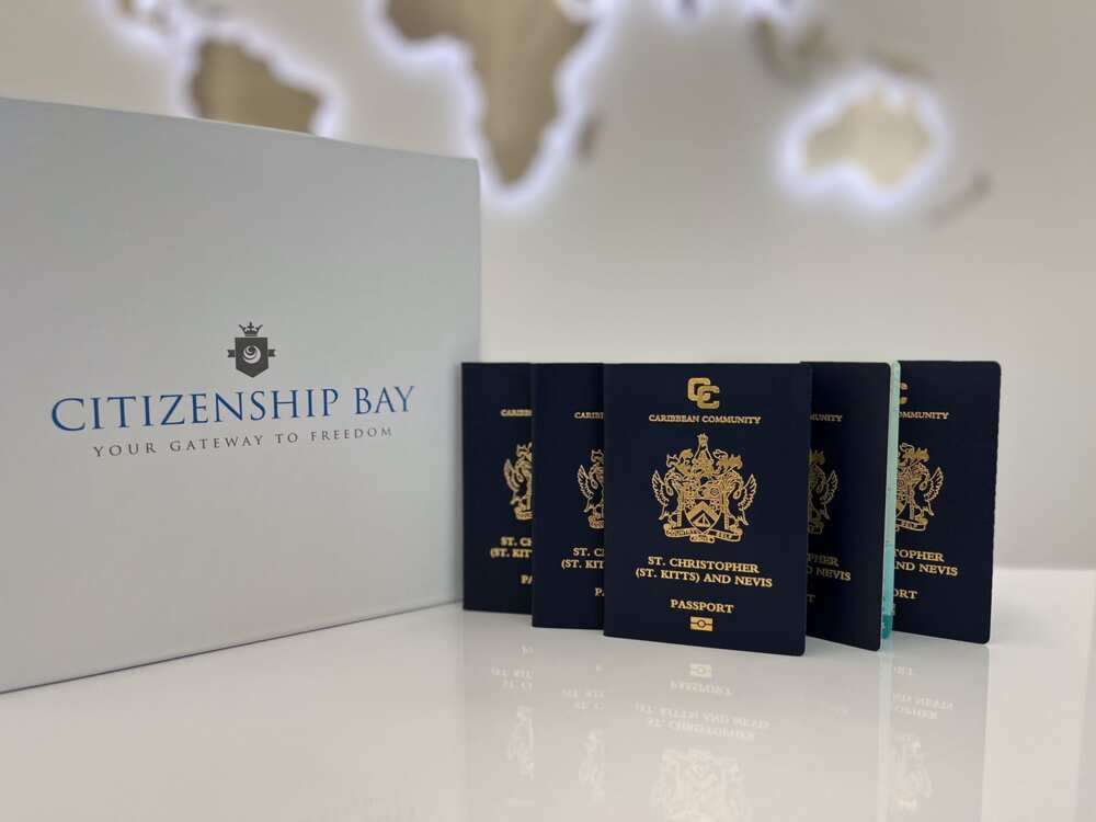 Why You Should Consider Citizenship by Investment - Zaid AlDayriyeh, MD Citizenship Bay