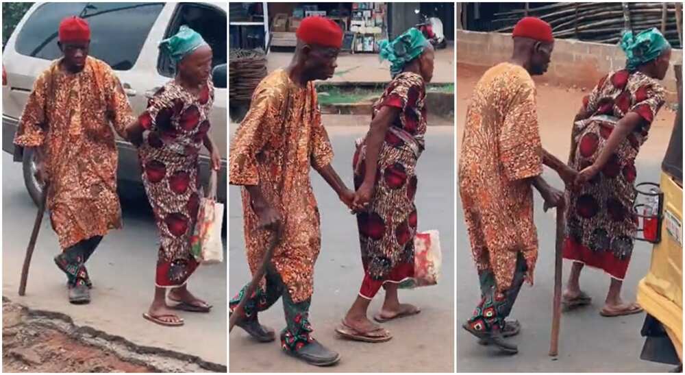 Photos of old couple showing love to each other.