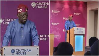 Tinubu reveals source of his wealth, makes strong accusation against critics